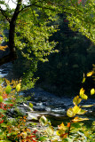 Les chutes de Ste-Agathe de Lotbinière en automne