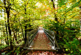 Les chutes de Ste-Agathe de Lotbinière en automne