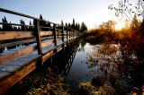 Les marais du Nord  Stoneham