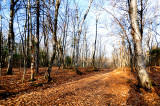 PARC RÉGIONAL DE LA POINTE DE LA MARTINIÈRE