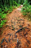 Gorges de la rivire Ste-Anne, Portneuf