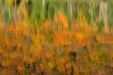 Reflets de mi-automne
