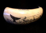  scrimshaw