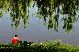 Rapides de Lachine