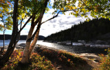 Regard sur le fjord  Tadoussac 