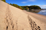 Dunes de Tadoussac