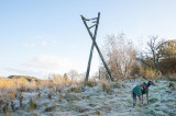 10th November 2019 <br> frosty morning