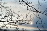8th December 2019 Wintry sun