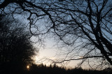 18th March 2020 spring sunshine