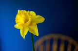 10th April 2020 daff