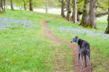 16th May 2020 the look