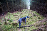 14th November 2020 untrodden path