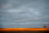 26th November 2020 last gasp of the sun