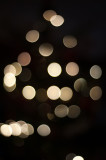 7th December 2020 Christmas tree