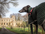 7th April 2021 hound at the palace