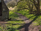 25th April 2021 old mill