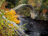 26th October 2021 <br> Carrbridge