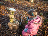 6th February 2022 fairy house