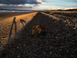 13th March 2022 Findhorn