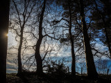 19th March 2022 nearly spring