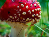P9190010-2-001.jpg