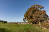 Cotswold Countryside 11