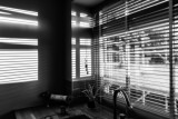 Black & White 4