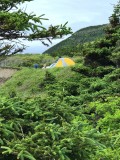 Z-IMG_6981.JPG