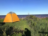 Z-IMG_6236.JPG