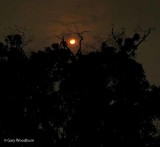 IMG_2846.jpg