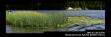 Reeds_9517-20_FPO.jpg