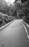 Naksan Park (낙산공원) - Where does this lead to ?