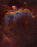 The Seagull nebula - IC 2177