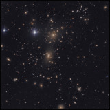 The Coma cluster