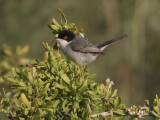 DSCN4041.JPG