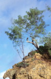 img031.jpg