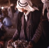Bedouins of the Negev