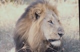 IMG_8754.JPG