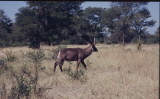 IMG_8752.JPG