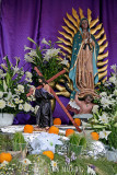 Detail of Altar with oranges