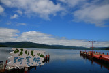 DSC_5932.jpg