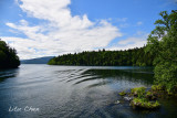 DSC_6119.jpg