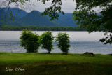 DSC_6404.jpg