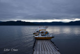DSC_6476.jpg