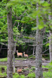 DSC_6518.jpg