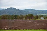 DSC_6530.jpg