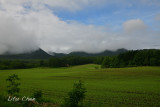 DSC_6573.jpg