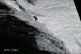 DSC_7044.jpg