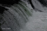DSC_7239.jpg