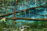 DSC_6759.jpg